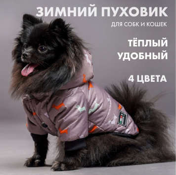 Одежда для собак средних пород в спб