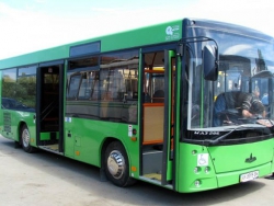 Автобусы, городской и общественный транспорт