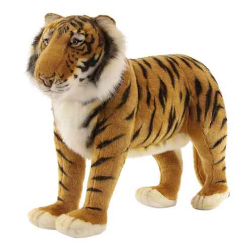 Saffari Tiger